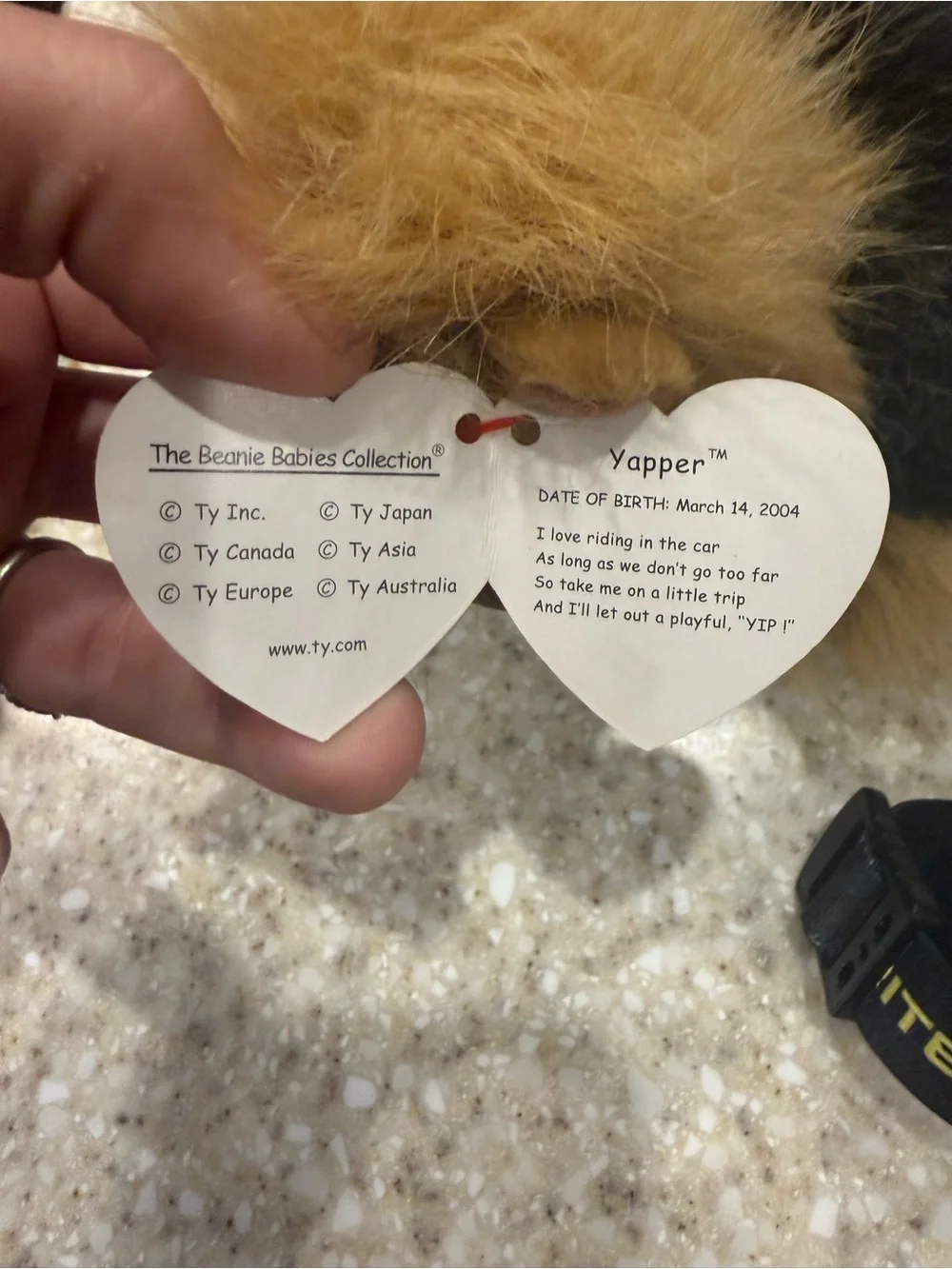 Ty Beanie Baby “ Yapper” Yorkshire terrier- NWT